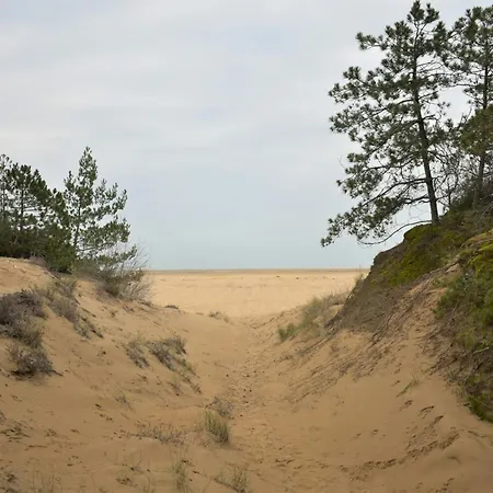 Bright And Spacious Vacation Lejlighed Lignano Sabbiadoro